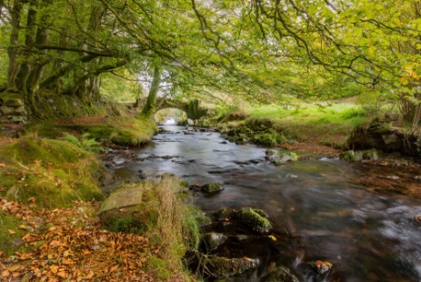A typical Exmoor river